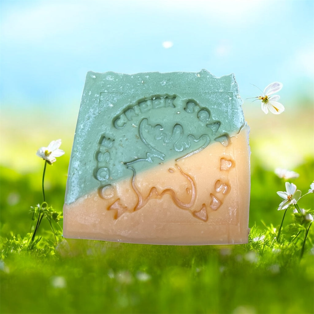 Paw Fresh Herbal Dog Soap