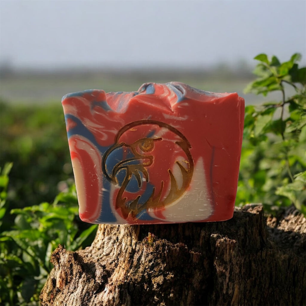 Freedom Soap