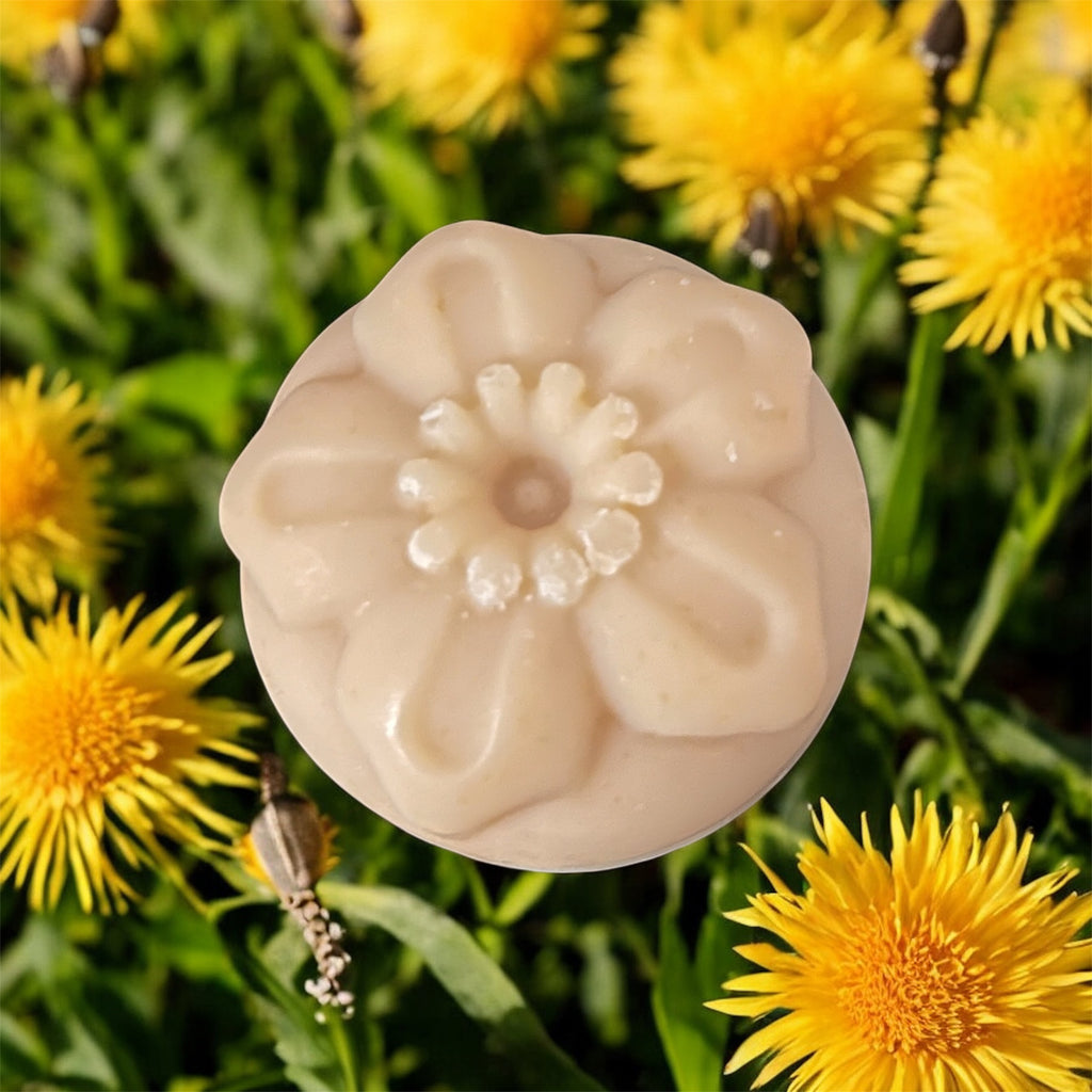 Golden Dandelion Shampoo Bar- All Natural
