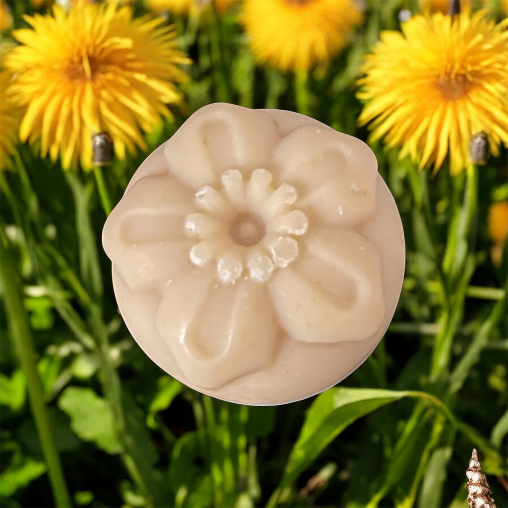 Golden Dandelion Shampoo Bar- All Natural