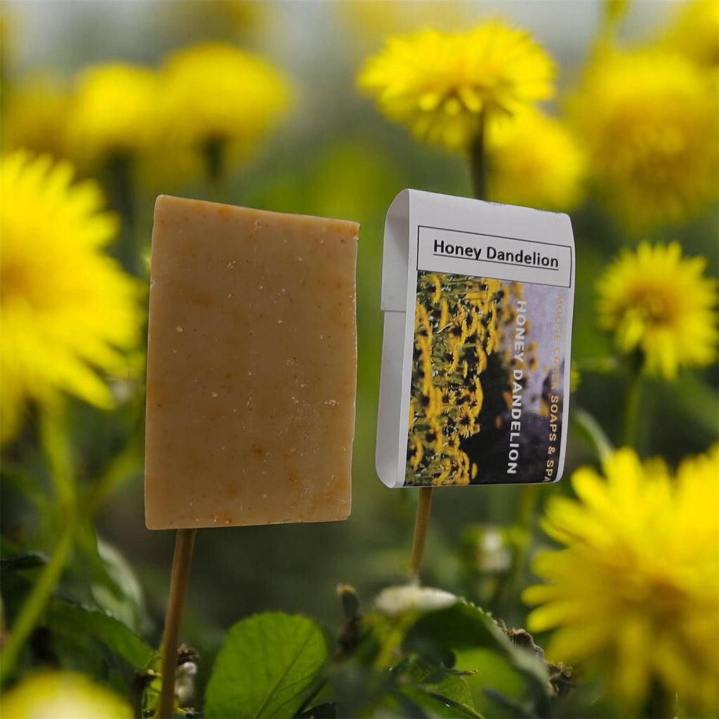 Honey Dandelion