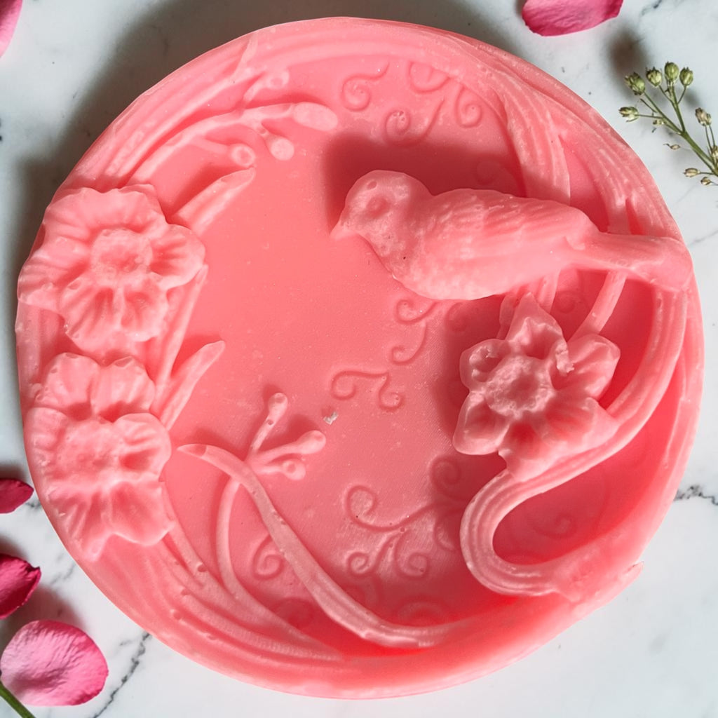 Small Animal and Other Cute Things