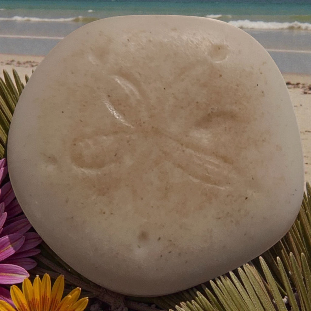 Adrianna's Sand Dollar Soap